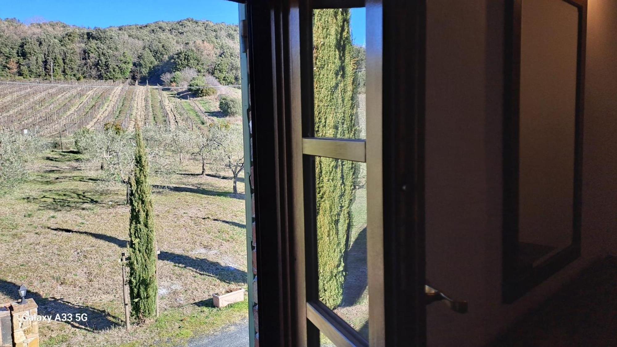 Podere Oliveta Montecatini Val di Cecina Exterior foto